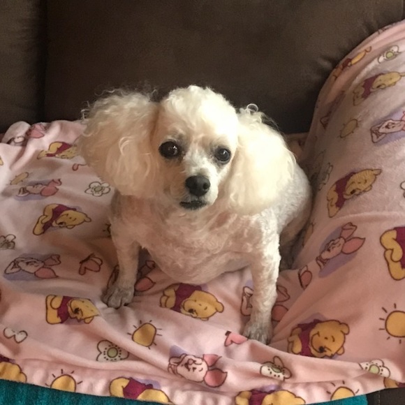 Meet your Posher, Jo - Picture 1 of 1